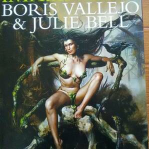 「IMAGINISTIX」BORIS VALLEJO & JULIE BELL  洋書画集 ハードカバーの画像1