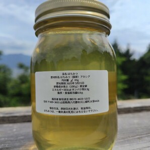 山梨県産 アカシア蜂蜜 600g（ビン） 1本入り 2023 年5月採りの画像2