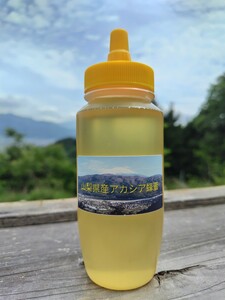 山梨県産　アカシア蜂蜜　300g（トンガリ容器）　1本入り　2023 年5月採り