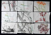 中国絵画　花鳥画　手描き　試作　9枚セット　手本　墨彩画　水墨画　書道　篆刻　２_画像1