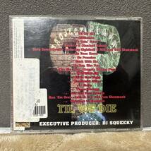 Project Playaz Til We Die / Memphis Tennessee G-Rap DJ Squeeky Mo Cheda Records_画像2