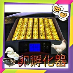 . egg vessel PSE certification . egg vessel .. vessel in kyu Beta - maximum 56 piece y