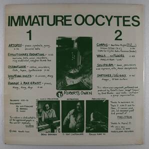 米Orig * ROBERTS OWEN * Immature Oocytes * US 自主盤 1982年 Maelstrom フリーインプロ ジャズプログレ 難解作 美盤!!の画像2