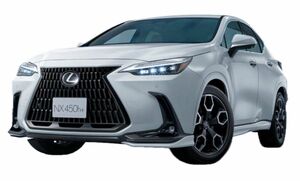 レクサスNX 20系LEXUS 新型NX フェンダーアーチモール（カラード）