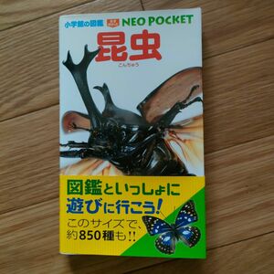 昆虫 （小学館の図鑑ＮＥＯ　ＰＯＣＫＥＴ　１） 小池啓一／指導・執筆　小野展嗣／指導・執筆　