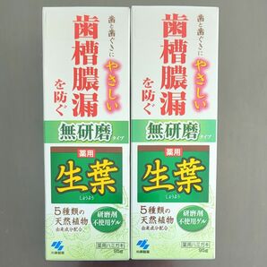 生葉 薬用歯磨き 無研磨タイプ 95g　【2個セット】