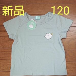 新品 半袖Tシャツ 毛玉犬 120 ライトグリーン 