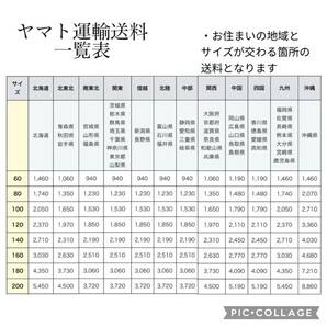 [4-23] Grass Roots GUITARS グラスルーツ エレキギター ソフトケース有りの画像10