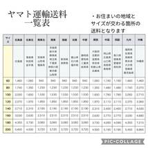 [4-51] 2021年 大谷翔平 MVP獲得記念コインキーホルダー ブロンズ ネットショップ数量限定 ホログラムシール有 USA製_画像6