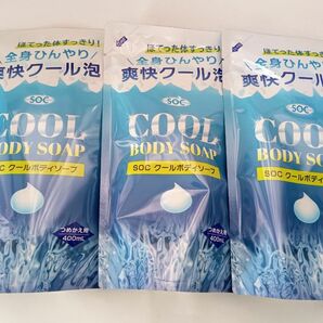 クールボディソープ　400ml　詰替用　 ３袋セット　ほってた体すっきり　 全身ひんやり　爽快クール泡　液体　詰替え用