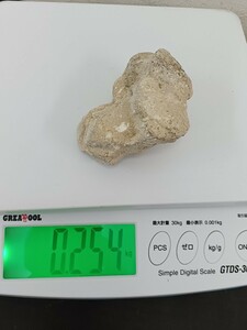 錬A★474 北投石 原石 254g 貴重 鉱物 ホルミシス ラジウム エネルギー 玉川