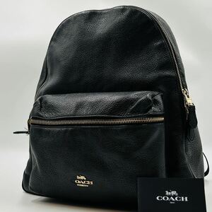 1円〜【入手困難品】定価10万円 コーチ COACH リュックサック バッグパック デイパック ブラック 黒 レザー メンズ レディース A4 ビジネス