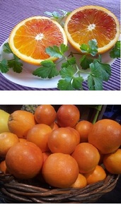 [Kyo Fruit Shop] Есть небольшой перевод ★ Tarocco Blood Orange от Kishu Arita ★ 2,8 кг