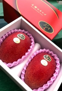 [Kyoto Fruit Shop] Ограниченный ● Лучшее манго Миядзаки ● Солнечное яйцо 3L/2 Шарики*Скрыть