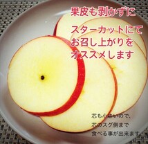 【京の果実屋】リンゴ《丸かじり好きにはたまらない》スリムレッド 2.2kg　青森県産_画像4