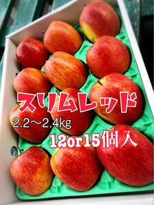 【京の果実屋】リンゴ《丸かじり好きにはたまらない》スリムレッド 2.2kg　青森県産