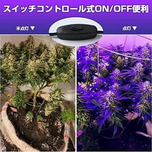 ブラックライト 30W LED投光器 紫外線UVブラックライト 防水IP66 硬化ライト 紫外線ライト 舞台照明 店舗壁面 街灯 装飾ライト釣り水族館の画像2