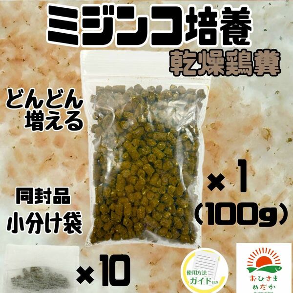 爆増中【ミジンコ培養乾燥鶏糞 1袋】メダカエサ 鶏ふん金魚めだかタマミジンコ オオミジンコ タイリクミジンコPSBとクロレラ併用可