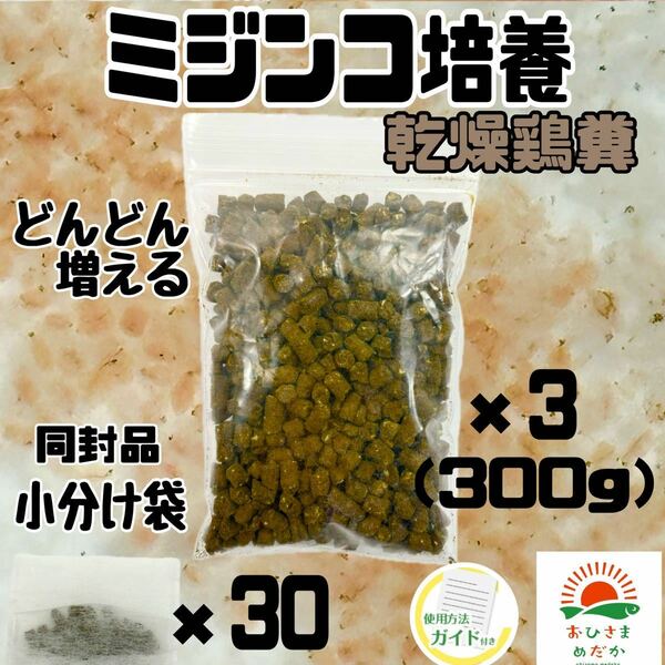 爆増中【ミジンコ培養乾燥鶏糞 3袋】メダカエサ 鶏ふん金魚めだかタマミジンコ オオミジンコ タイリクミジンコPSBとクロレラ併用可