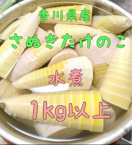 香川県 たけのこ 水煮 約1kg 筍 タケノコ 無農薬 3