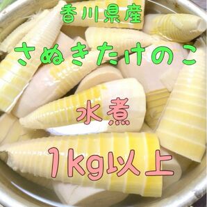 香川県 たけのこ 水煮 約1kg 筍 タケノコ 無農薬栽培 