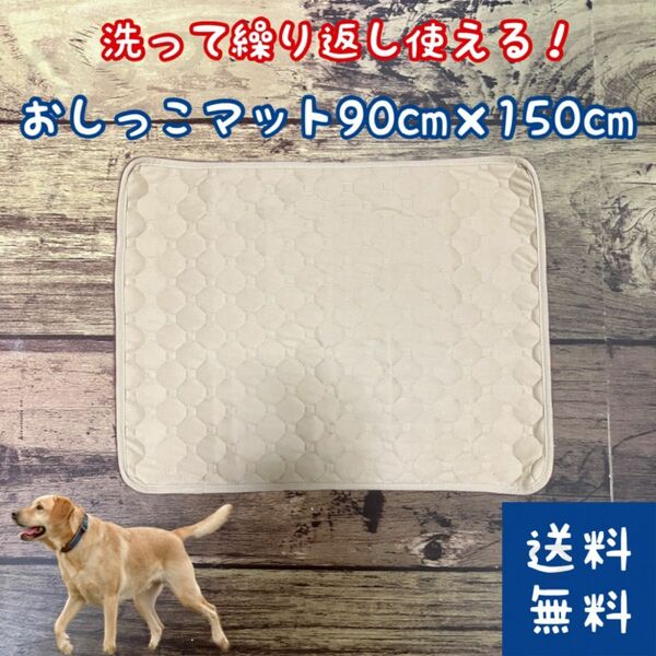 犬 おしっこマット XLサイズ ベージュ(■洗濯機で丸洗い可能■滑り止め付き)