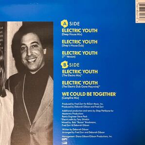 DEBBIE GIBSON / ELECTRIC YOUTH 中古盤12インチの画像3