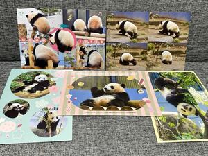 シャンシャン ポストカード ５枚 上野動物園 パンダ 毎日パンダ