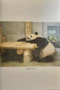 レア 上野動物園 パンダ リーリー 書籍切り抜き 毎日パンダ