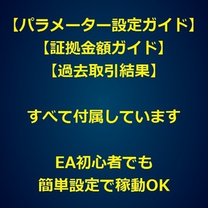 ”稼働時間設定” 実装済！【お試しデモ口座用EA】5年間で元本7倍以上・個人or商業利用選択可能・口座縛り設定可能・FX 自動売買 EAの画像5