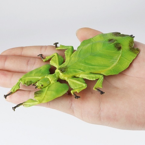 コノハムシ 虫 フィギュア 超リアル