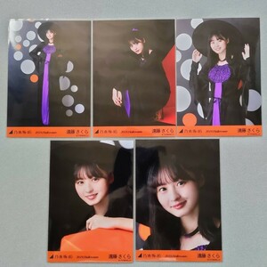 乃木坂46 遠藤さくら 2019 Halloween 生写真 5枚セット