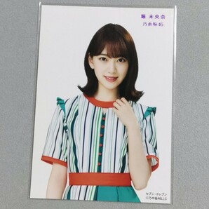 乃木坂46 堀未央奈 セブンイレブン 生写真 7の画像1