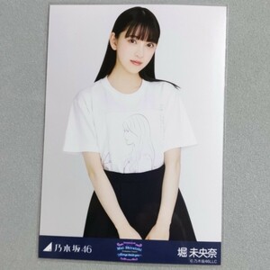 乃木坂46 堀未央奈 白石麻衣卒業コンサート 生写真