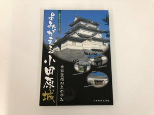 Art hand Auction ★【よみがえる小田原城 小田原城天守閣特別展 史跡整備30年の歩み 平成25 神奈川県】159-02404, 絵画, 画集, 作品集, 図録