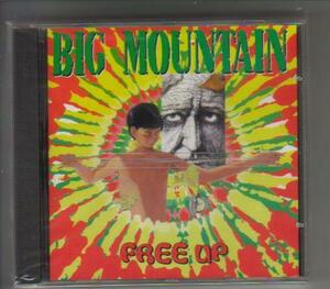 輸入CD:Big Mountain ビッグ・マウンテン/Free Up フリー・アップ 新品未開封