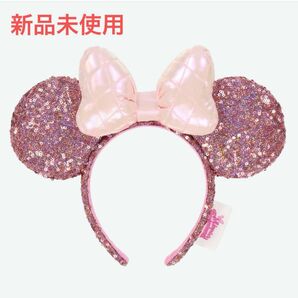 【未使用】ディズニー パルパルーザ ミニーのファンダーランド カチューシャ ミニー ミニーマウス ピンク パルパル 新品