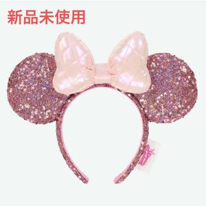 【未使用】ディズニー パルパルーザ ミニーのファンダーランド カチューシャ ミニー ミニーマウス ピンク パルパル 新品