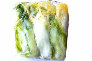 [ great popularity commodity ] Chinese cabbage .1 sack 1kg go in is ... tsukemono pickles 