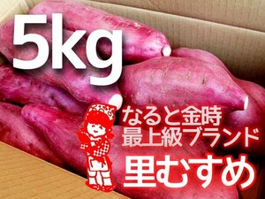 [.. have ][5kg].. equipped large discharge special price goods! Tokushima prefecture .. production become . gold hour B3L~2L 5kg box sweet potato sweet potato Satsuma corm 