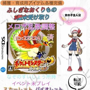 正規　乱数色違い伝説・配信ポケモン完備　メロボ乱数　ポケモン　ハートゴールド