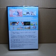 転生したらスライムだった件　第12巻　DVD付き限定版　DVDのみ　本無し_画像2