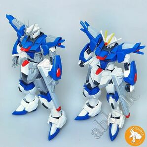 【海外製ガレキ】HG ライジングフリーダムガンダム　ディテールアップパーツ