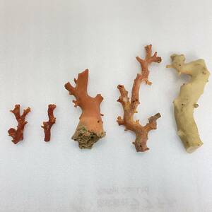 『Z17』原木　珊瑚　サンゴ　計約190ｇ　赤珊瑚　約5-14ｃｍ　朱赤珊瑚　白珊瑚　ルース　素材　おまとめ　現状品