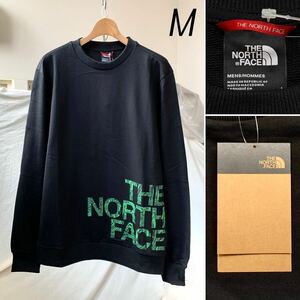 M 新品 ノースフェイス THE NORTH FACE ロゴ スウェット BLOWN UP LOGO CREW 黒 ブラック 薄手 海外企画 メンズ NF0A854AJK31 送料無料