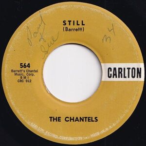 Chantels Still / Well, I Told You Carlton US 564 206519 R&B R&R レコード 7インチ 45