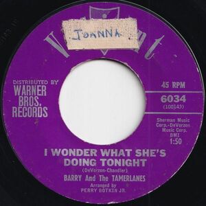 Barry And The Tamerlanes I Wonder What She's Doing Tonight / Don't Go Valiant US 6034 206537 R&B R&R レコード 7インチ 45