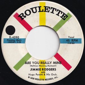 Jimmie Rodgers Are You Really Mine / The Wizard Roulette US R-4090 206560 R&B R&R レコード 7インチ 45