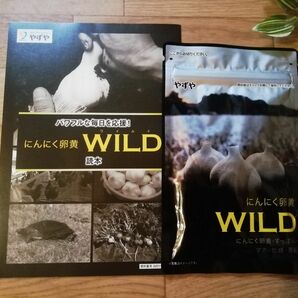 ★やずや★ にんにく卵黄WILD★62球×1袋 新品未開封 ♪