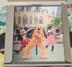 ディズニー TDR 実写 フォトパネル ミッキー ミニー プルート 3D かくれんぼ